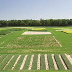 view of green rural land and cultivated fields