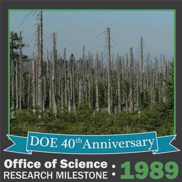 Effects of acid rain, woods, Jizera Mountains, Czech Republic.