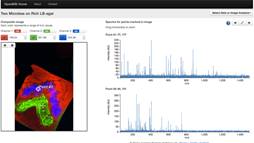 Screen-shot of the OpenMSI online data viewer.