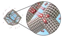 A team led by Argonne National Lab’s Dr. Vojislav Stamenkovic and Berkeley Lab’s Professor Peidong Yang designed platinum-nickel nanoframes with multilayered platinum skin structure. The structure catalyzes the oxygen reduction reaction (shown here) on the surface.