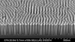 Inspired by the nonreflective nature of the eyes of moths, scientists at two New York institutions created a surface that could be used in solar panels to reduce the glare and capture more light. On this surface, each of the tiny posts is smaller than the wavelength of light. 