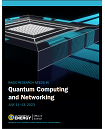 Basic Research Needs in Quantum Computing and Networking Workshop Report