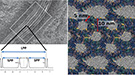 Microscopy (left) shows layers of the stratum corneum’s waxy “mortar” in which keratinaceous “bricks” called corneocytes are embedded. The layers contain repeated short- and long-chain lipids. Molecular dynamics simulations performed on Titan (right) demonstrate that the long-chain fatty acids are crucial to keeping the skin barrier intact.