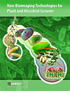 BER Imaging and Measurement Cover