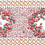 Understanding the Critical Roles of Heterogeneity, Interfaces, and Disorder