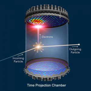 LZ_DetectorInteraction