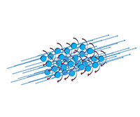 Optimized Design of Spin-Polarized Beams