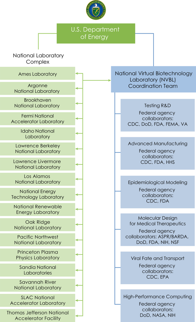 NVBL Structure Chart